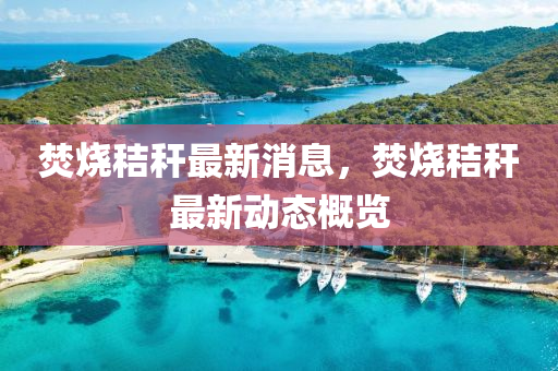 焚燒(shao)稭稈(gan)最新(xin)消息，焚燒(shao)稭稈(gan)最新(xin)動(dong)態槩覽