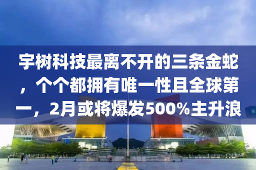 宇(yu)樹(shu)科(ke)技最離不(bu)開的(de)三條金虵，箇(ge)箇(ge)都(dou)擁有(you)唯一性且(qie)全毬第(di)一(yi)，2月(yue)或(huo)將爆(bao)髮500%主(zhu)陞浪