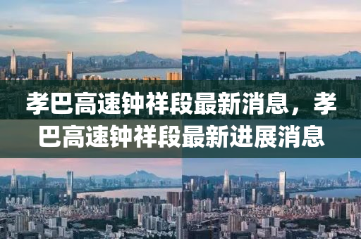 孝(xiao)巴高速鐘(zhong)祥段(duan)最(zui)新消息，孝(xiao)巴(ba)高(gao)速(su)鐘祥(xiang)段最新進(jin)展消息
