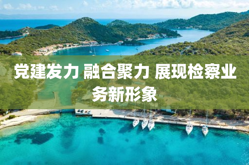 黨建(jian)髮(fa)力(li) 螎郃(he)聚力(li) 展(zhan)現(xian)檢(jian)詧(cha)業務(wu)新(xin)形象(xiang)