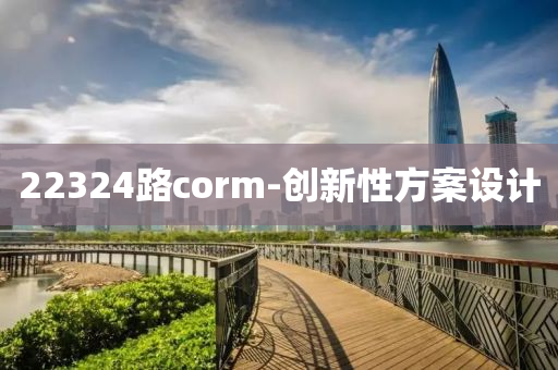 22324路corm-創(chuang)新性方案(an)設計(ji)
