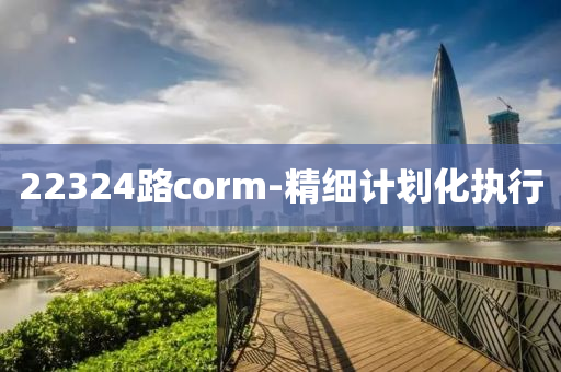 22324路corm-精細(xi)計(ji)劃(hua)化(hua)執行