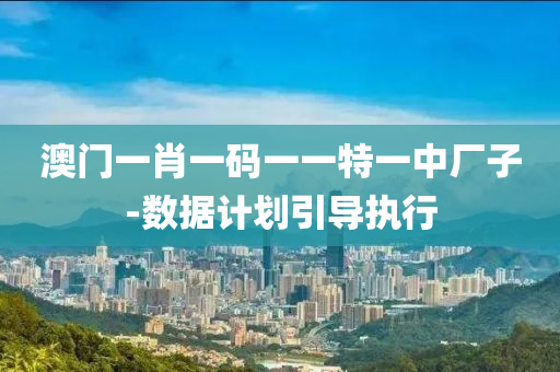 澳(ao)門一肖(xiao)一(yi)碼一一(yi)特一中(zhong)廠子-數(shu)據計(ji)劃(hua)引(yin)導(dao)執(zhi)行