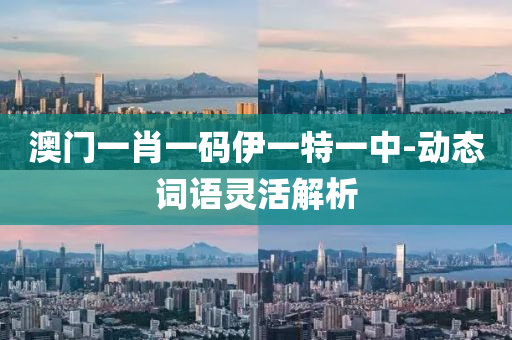 澳(ao)門一肖一(yi)碼伊(yi)一特(te)一(yi)中(zhong)-動(dong)態詞語靈(ling)活(huo)解析(xi)