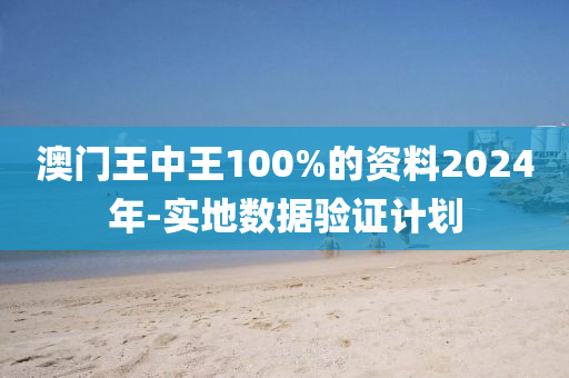 澳(ao)門(men)王中王100%的(de)資(zi)料(liao)2024年-實地(di)數據驗證(zheng)計(ji)劃(hua)