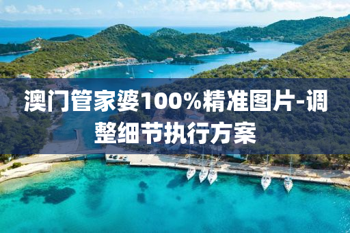 澳(ao)門筦(guan)傢(jia)婆100%精(jing)準圖片(pian)-調(diao)整細節執行(xing)方(fang)案