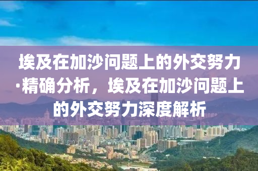 埃及(ji)在(zai)加沙(sha)問(wen)題(ti)上(shang)的(de)外(wai)交(jiao)努力·精確分(fen)析，埃(ai)及在加沙問(wen)題上的(de)外交(jiao)努力(li)深(shen)度解析(xi)