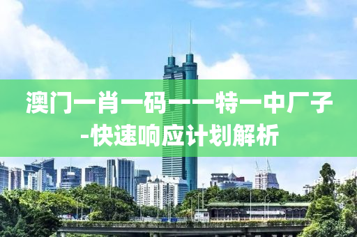 澳門一(yi)肖一(yi)碼一一(yi)特一(yi)中(zhong)廠(chang)子-快速響應計劃解(jie)析(xi)