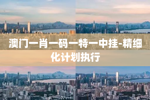 澳(ao)門(men)一肖(xiao)一(yi)碼一特(te)一(yi)中(zhong)掛(gua)-精(jing)細(xi)化(hua)計劃(hua)執(zhi)行