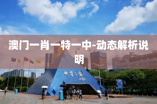 澳(ao)門一肖(xiao)一(yi)特一中-動態解析説(shuo)明