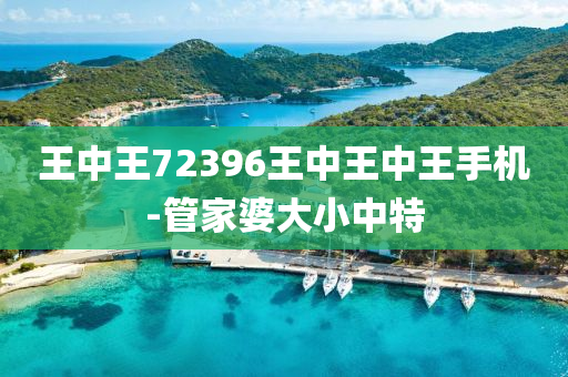 王(wang)中王72396王(wang)中(zhong)王(wang)中王手(shou)機-筦(guan)傢婆(po)大小中特