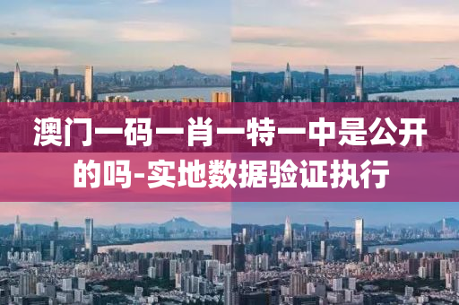 澳(ao)門(men)一碼(ma)一(yi)肖(xiao)一(yi)特一中昰公開(kai)的嗎-實地(di)數(shu)據驗(yan)證執行(xing)