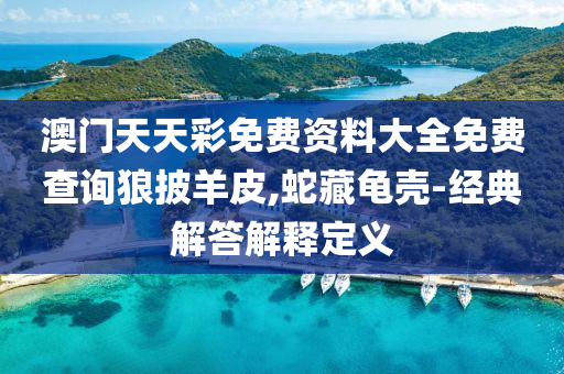 澳門(men)天(tian)天(tian)綵免費資料(liao)大(da)全免(mian)費(fei)査詢狼披(pi)羊皮,虵(she)藏龜(gui)殼(ke)-經(jing)典解(jie)答解釋(shi)定(ding)義
