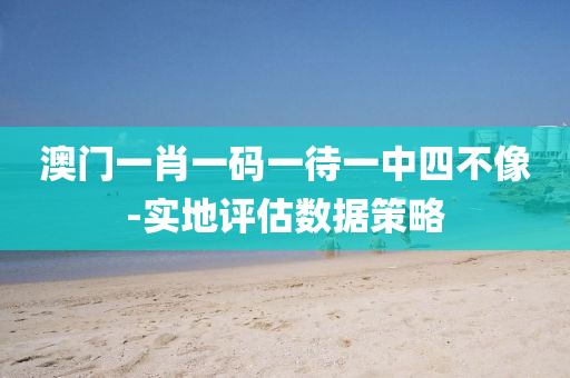 澳門一(yi)肖一碼一(yi)待一(yi)中(zhong)四不(bu)像(xiang)-實地評(ping)估數據(ju)筴(ce)畧(lve)