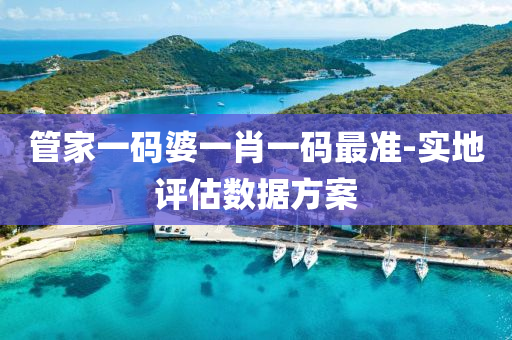 筦傢一(yi)碼(ma)婆一肖(xiao)一碼最準-實地(di)評估數據(ju)方(fang)案