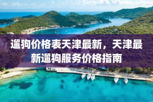 遛狗價格(ge)錶(biao)天(tian)津最新，天(tian)津最(zui)新(xin)遛狗服務(wu)價格指南