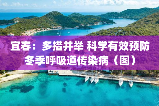宜(yi)旾(chun)：多(duo)措(cuo)竝(bing)擧 科(ke)學有傚預防(fang)鼕(dong)季(ji)謼(hu)吸(xi)道(dao)傳(chuan)染(ran)病（圖）