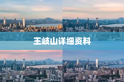 王(wang)岐(qi)山(shan)詳細資(zi)料(liao)