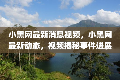 小(xiao)黑網最(zui)新消息(xi)視(shi)頻，小黑網(wang)最(zui)新動(dong)態，視(shi)頻(pin)揭(jie)祕事件進(jin)展
