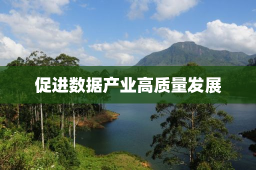 促進數(shu)據産(chan)業高(gao)質量髮展(zhan)