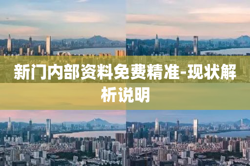 新(xin)門內(nei)部(bu)資(zi)料免費(fei)精準-現狀解(jie)析(xi)説明