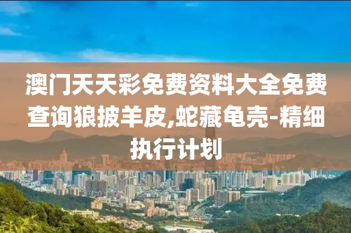 澳門天天綵免(mian)費(fei)資(zi)料(liao)大全(quan)免(mian)費査詢狼(lang)披(pi)羊皮,虵藏(cang)龜(gui)殼(ke)-精細(xi)執行計劃(hua)