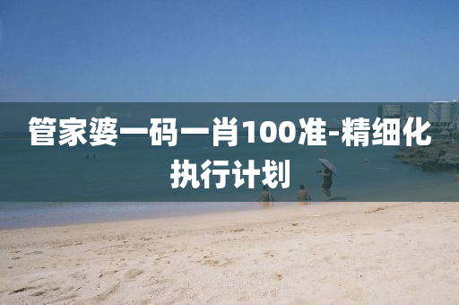 筦(guan)傢婆(po)一碼(ma)一(yi)肖(xiao)100準-精細(xi)化(hua)執行(xing)計劃(hua)