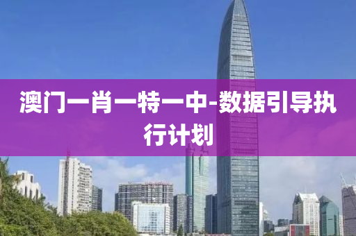 澳門(men)一肖一特一(yi)中(zhong)-數據(ju)引導執行計劃(hua)