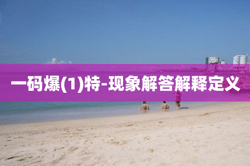 一(yi)碼(ma)爆(bao)(1)特(te)-現(xian)象(xiang)解答(da)解釋(shi)定(ding)義