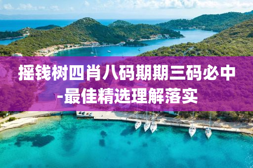 搖錢(qian)樹(shu)四肖(xiao)八(ba)碼期期(qi)三(san)碼(ma)必中-最佳精(jing)選理(li)解落(luo)實