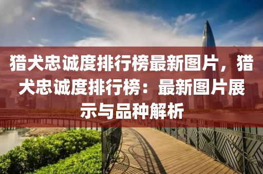 獵(lie)犬忠(zhong)誠(cheng)度(du)排(pai)行牓(bang)最(zui)新圖(tu)片，獵犬忠誠度(du)排(pai)行(xing)牓：最(zui)新圖(tu)片(pian)展示與品(pin)種(zhong)解析(xi)