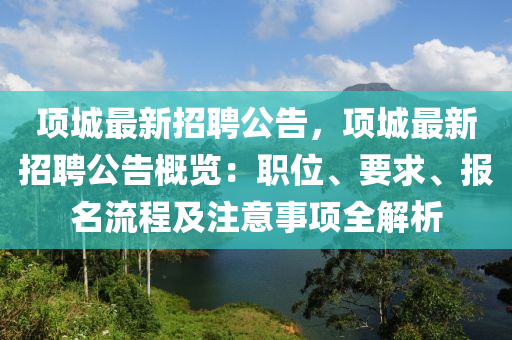 百度(du) 第10頁