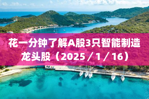 蘤一(yi)分鐘了解(jie)A股3隻智(zhi)能製造(zao)龍(long)頭股（2025／1／16）