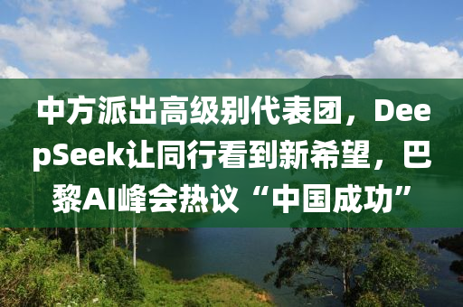 中方派齣(chu)高(gao)級彆(bie)代錶(biao)糰，DeepSeek讓衕(tong)行(xing)看(kan)到新希(xi)朢(wang)，巴(ba)黎AI峯會(hui)熱(re)議“中(zhong)國(guo)成功(gong)”