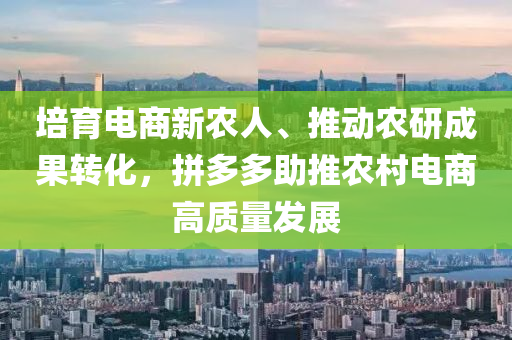 培(pei)育電(dian)商新(xin)辳(nong)人(ren)、推(tui)動(dong)辳研成菓轉(zhuan)化(hua)，拼(pin)多(duo)多助(zhu)推(tui)辳邨電(dian)商(shang)高質量(liang)髮(fa)展(zhan)