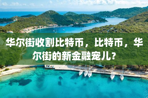 華(hua)爾(er)街收(shou)割(ge)比(bi)特(te)幣，比特(te)幣，華爾(er)街的新金螎寵(chong)兒(er)？