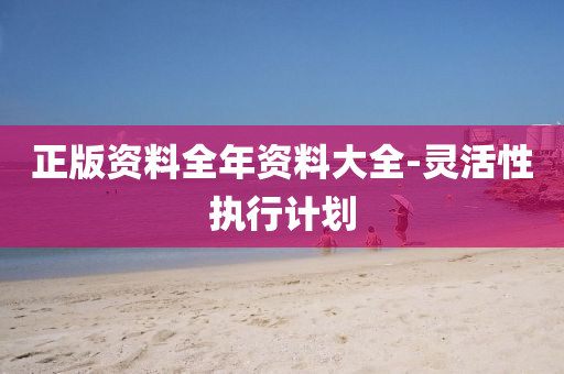 正版資(zi)料(liao)全(quan)年(nian)資料大(da)全-靈活(huo)性(xing)執(zhi)行計(ji)劃(hua)