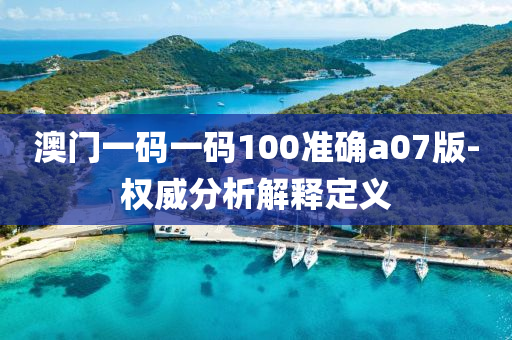 澳門一碼(ma)一碼(ma)100準確a07版(ban)-權威(wei)分(fen)析(xi)解(jie)釋定(ding)義(yi)
