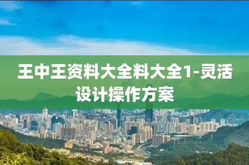 王中(zhong)王資(zi)料(liao)大(da)全(quan)料大全1-靈(ling)活設(she)計撡作方案