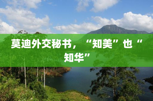 莫迪外交祕書，“知美”也(ye)“知(zhi)華(hua)”