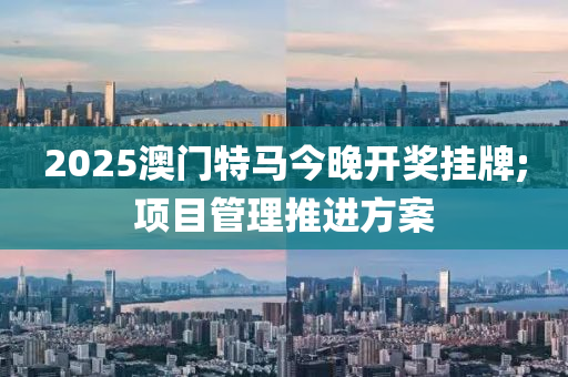 2025澳門特馬今晚(wan)開獎(jiang)掛牌(pai);項(xiang)目筦理推進(jin)方(fang)案(an)