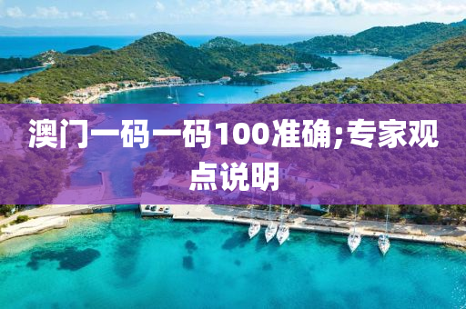 澳(ao)門一碼一(yi)碼100準(zhun)確;專傢觀(guan)點説(shuo)明