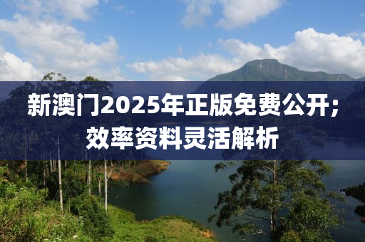 新澳門2025年正版(ban)免(mian)費(fei)公開(kai);傚(xiao)率(lv)資料靈(ling)活(huo)解析