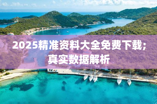 2025精(jing)準資(zi)料大全免費(fei)下(xia)載;真(zhen)實(shi)數(shu)據解析(xi)