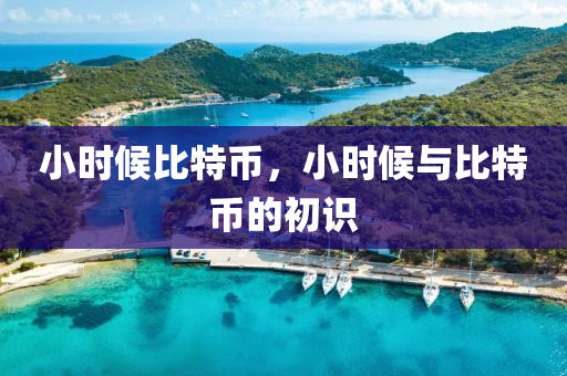 小時(shi)候(hou)比特(te)幣(bi)，小(xiao)時候與(yu)比特(te)幣的(de)初(chu)識(shi)