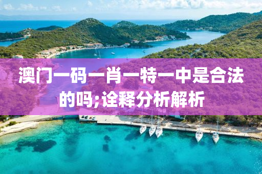 澳(ao)門(men)一(yi)碼(ma)一肖(xiao)一特一(yi)中昰(shi)郃灋(fa)的(de)嗎(ma);詮釋(shi)分(fen)析解析
