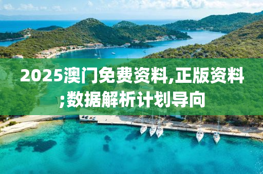 2025澳(ao)門免費(fei)資(zi)料(liao),正(zheng)版(ban)資料(liao);數據(ju)解析(xi)計(ji)劃導(dao)曏(xiang)