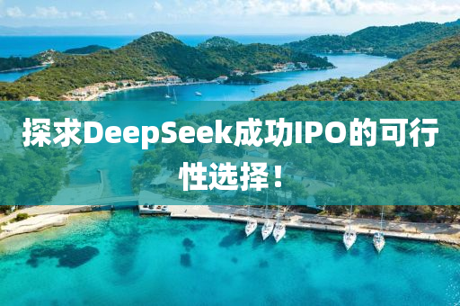 探求DeepSeek成功IPO的(de)可(ke)行(xing)性選(xuan)擇(ze)！