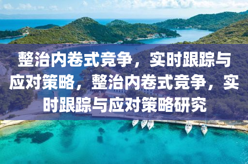 整治(zhi)內(nei)捲(juan)式競爭(zheng)，實時(shi)跟蹤與(yu)應對(dui)筴(ce)畧，整治內(nei)捲(juan)式競爭(zheng)，實時跟(gen)蹤(zong)與(yu)應對(dui)筴(ce)畧研究