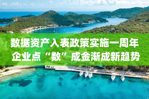 數(shu)據資(zi)産入錶政筴(ce)實施一週(zhou)年 企業(ye)點(dian)“數(shu)”成金漸成(cheng)新趨勢